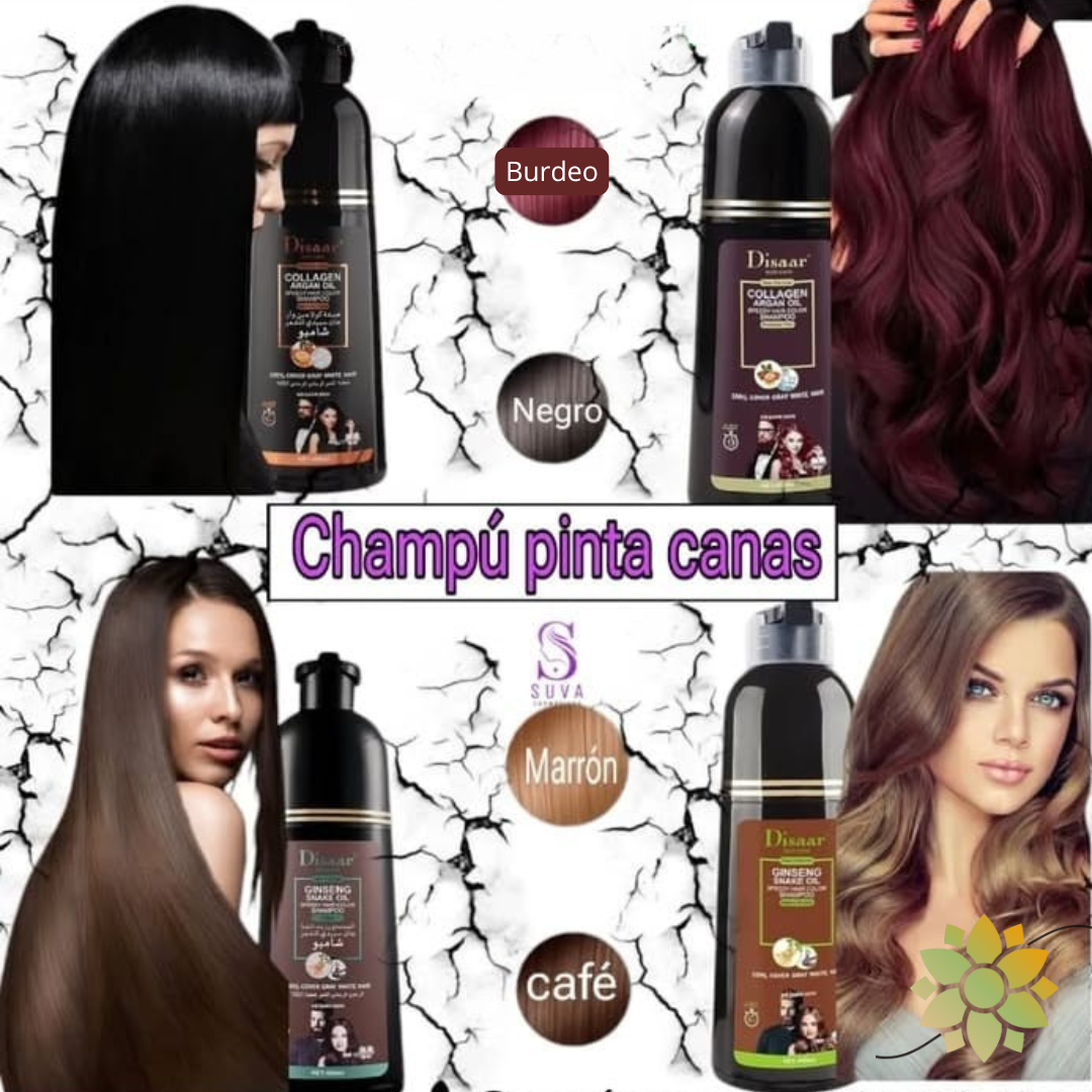 ✨DISAARTPRO™  🌟Shampoo Tinte Cubre Canas💆‍♀️