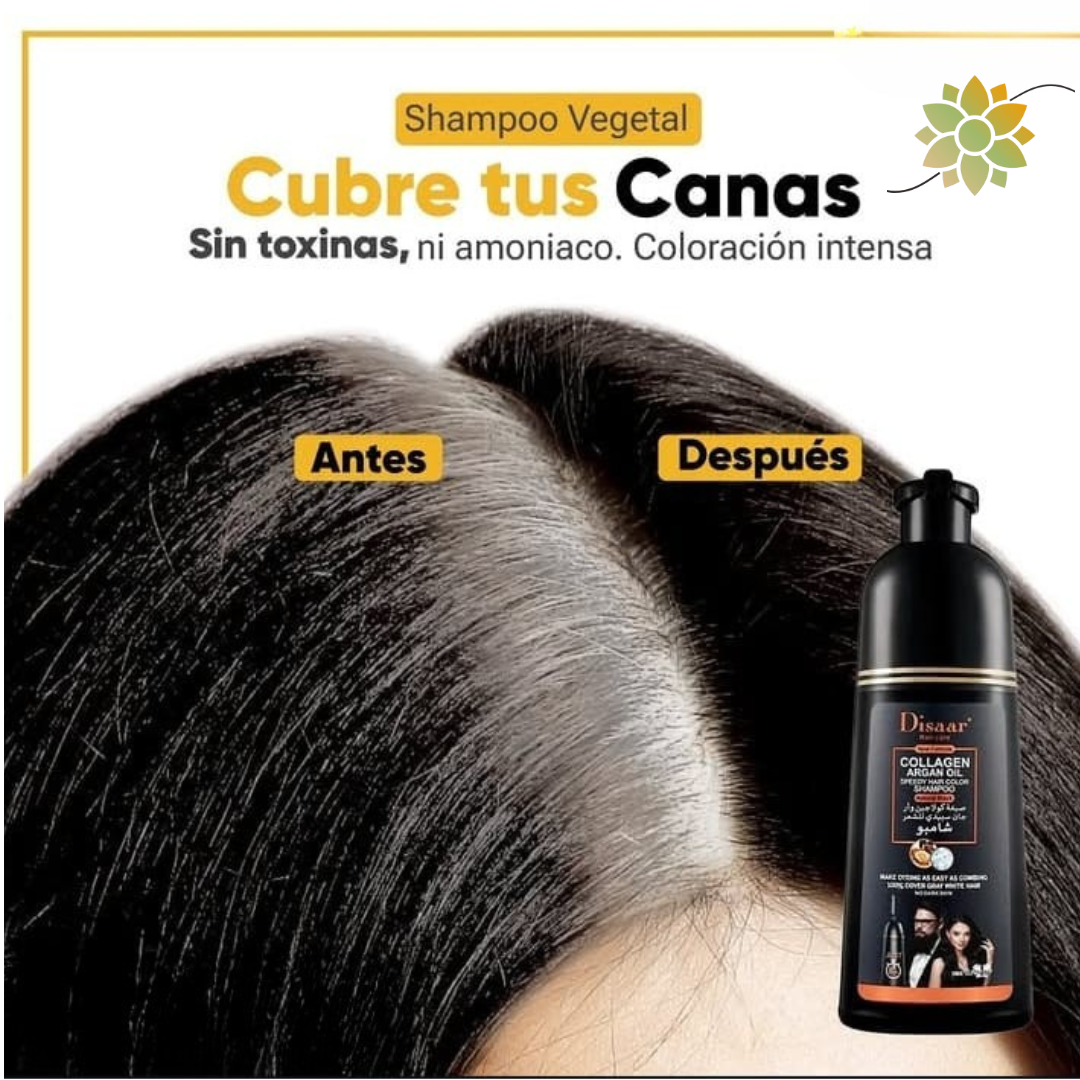 ✨DISAARTPRO™  🌟Shampoo Tinte Cubre Canas💆‍♀️